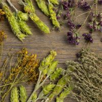 نقش گیاهان دارویی در پیشگیری از بیماری‌های زنبور عسل