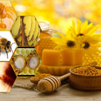گنجینه تغذیه‌ای محصولات زنبور عسل /  بررسی آمینو اسیدهای ژل رویال، گرده گل و بره موم