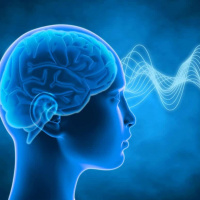 تأثیر عسل بر سلامت روان و کاهش اضطراب/ نگاهی جامع به نقش عسل در تقویت مغز و کاهش استرس