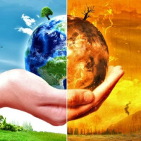 بررسی سازگاری نژادهای زنبور عسل با اقلیم‌های گوناگون