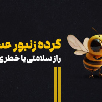 گرده زنبور عسل / راز سلامتی یا خطری پنهان