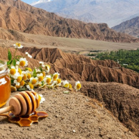 بررسی خواص آنتی‌اکسیدانی عسل‌های تک گل در مناطق کوهستانی ایران