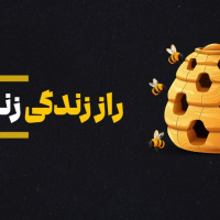 عسل خام برای درمان بیماری‌های لثه / ۵ فایده شگفت‌انگیز