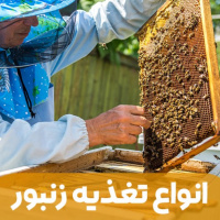 نقش ویتامین‌ها، مواد معدنی و مکمل‌ها در تغذیه بهینه زنبورهای عسل