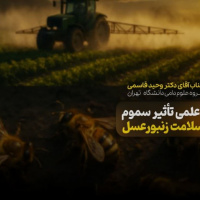 بررسی علمی تأثیر سموم شیمیایی بر سلامت زنبورعسل