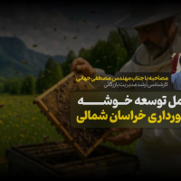 با ایجاد خوشه های زنبورداری ؛ زنبورداران را از انزوا خارج کنیم
