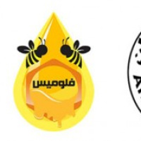آغاز همکاری سه‌جانبه برای توسعه خدمات زنبوردرمانی در کشور