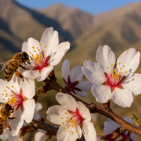 نقشه طلایی شهد و گرده در ایران؛ گیاهان ارزشمند برای زنبورداری پایدار