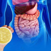 ژل رویال و کولیت التهابی / یافته‌های علمی 2025 چه می‌گویند؟