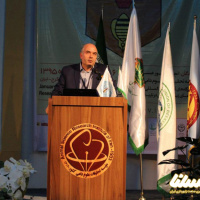 پروبیوتیک‌های بومی زنبور عسل / افزایش تاب‌آوری کلنی تا ۸۲ درصد