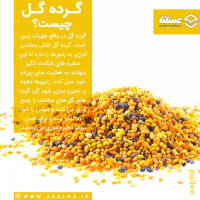 چگونه گرده گل با تأمین مواد معدنی، به تقویت استخوان‌های ستون فقرات کمک می‌کند؟
