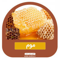 چرا جویدن موم عسل علائم آلرژی را کاهش می‌دهد؟ نگاهی علمی و تجربی
