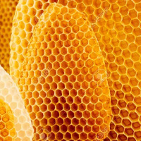 خواص مهم موم زنبور عسل 