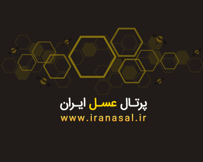نسخه طب ایرانی برای بارداری سالم / از سبک زندگی و تغذیه تا سلامتی نوزاد