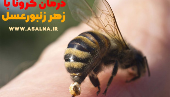 ویدئو: درمان کرونا با زهر زنبور عسل