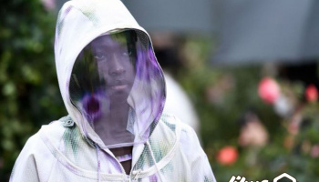 گزارش تصویری هفته مد در پاریس با لباس های زنبورداری