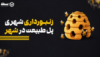 زنبورداری شهری چقدر پایدار است؟ / چگونه دوستدار زنبورها باشیم؟