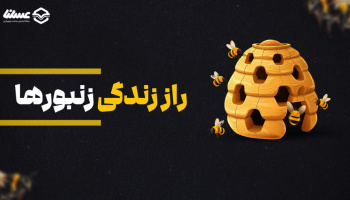 عسل خام برای درمان بیماری‌های لثه / ۵ فایده شگفت‌انگیز